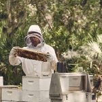 Daven Sprouting Project Image 4