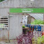 TheSproutingProject3