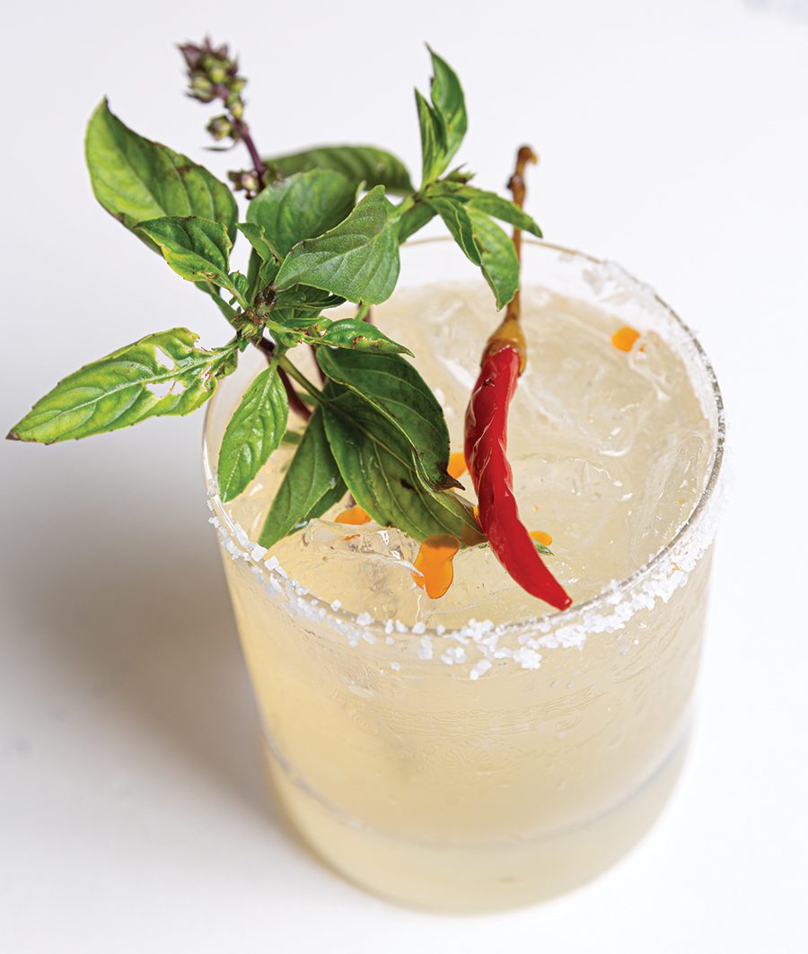 A cream colored cocktail in a small glass with a salt rim and a leafy and peppered garnish