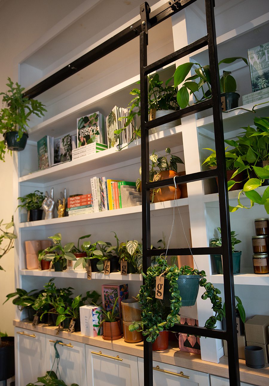 A white display case full of assorted books and plants with a black ladder located at grow a plant shop in Davidson, NC
