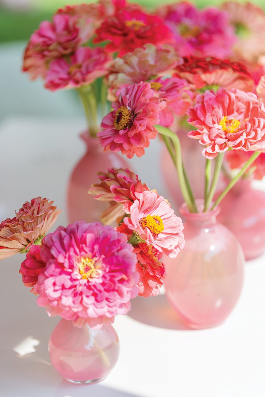 Assorted pink vases full of assorted pink flowers 