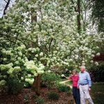 sp_estate jewelry6_lib jones_0323