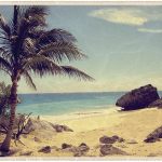 Palm Tree on a Mexican Beach – Vintage Postcard