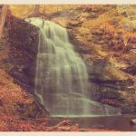 Vintage Bushkill Falls, PA Postcard