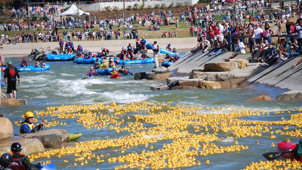 Hope Floats Duck Race shows thousands of ducks floating down the channel at Whitewater Center.