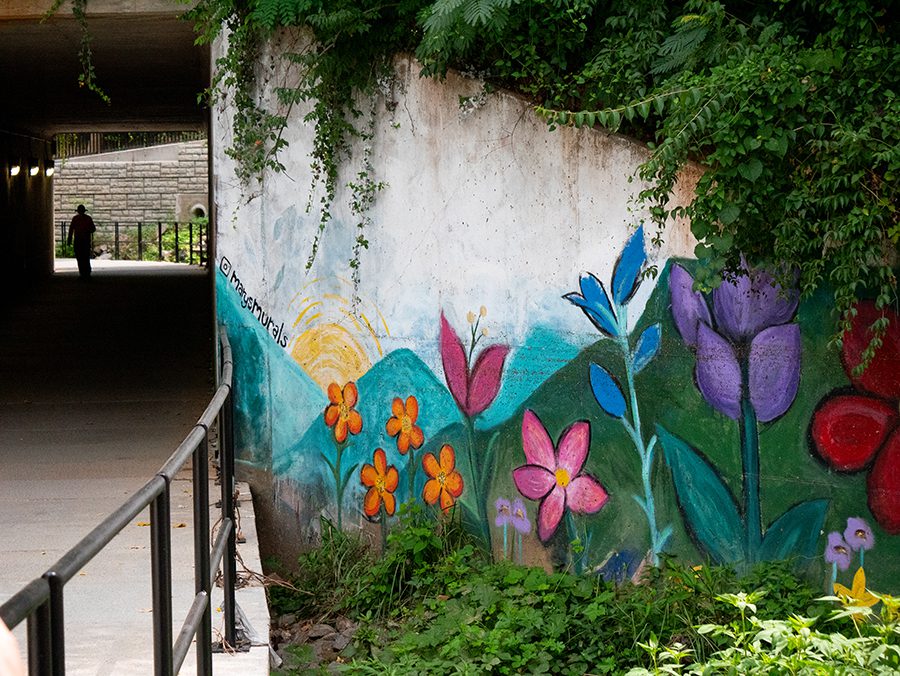 A mural at the entrance of a tunnel on a new stretch of the Cross Charlotte Trail behind Park Road Shopping Center.