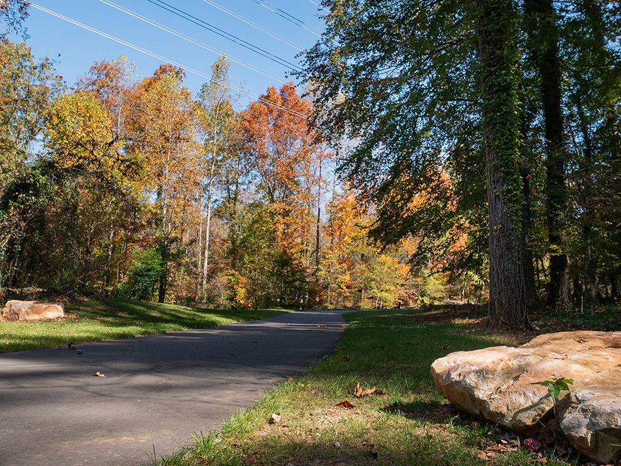 A section of the Backlot Trail in SouthPark lined by trees.