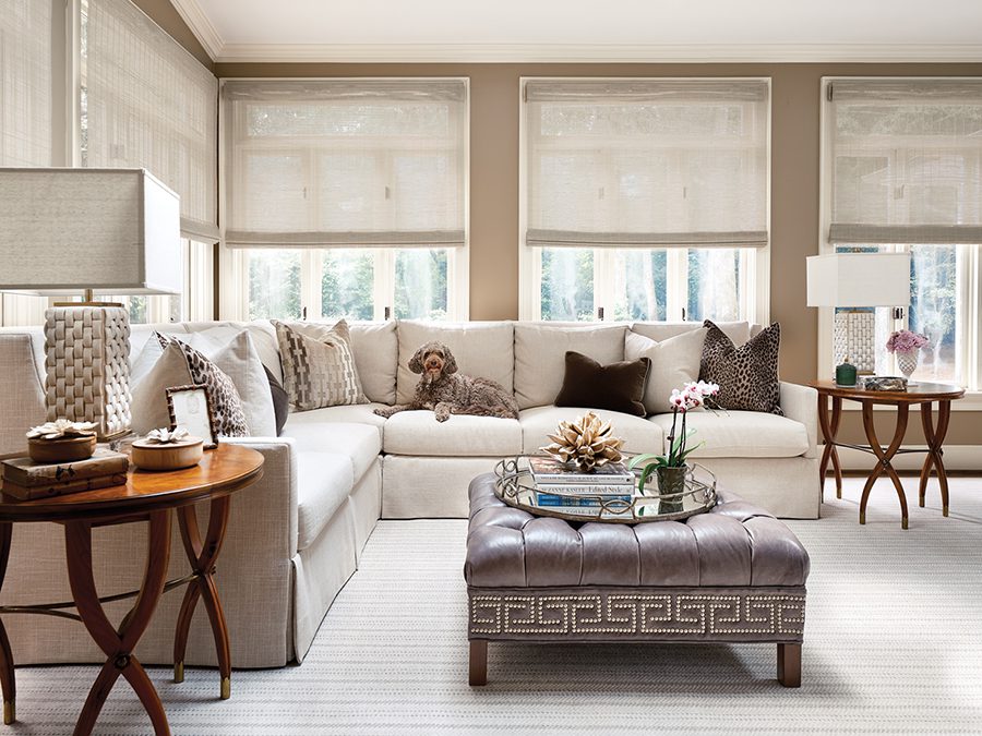 Sunroom with dog on couch