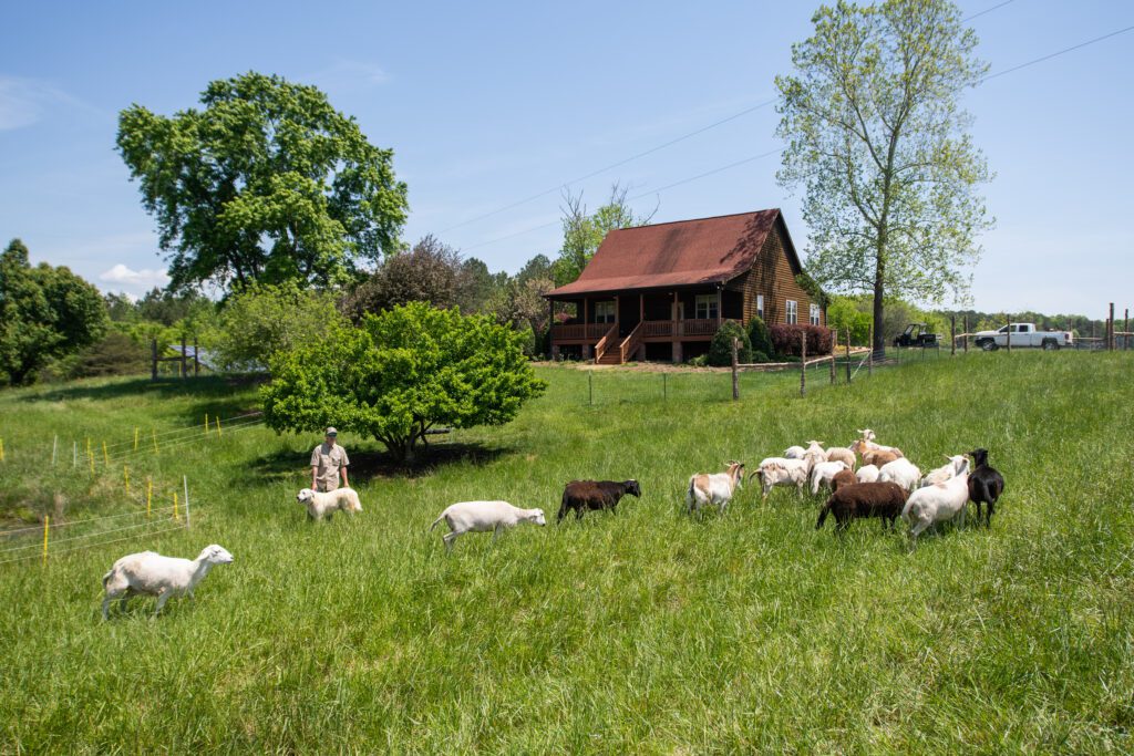 The view of a pasture at JuneBerry Ridge in Norwood, N.C.