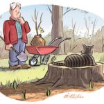 Jim Dodson illustration gardening with cat