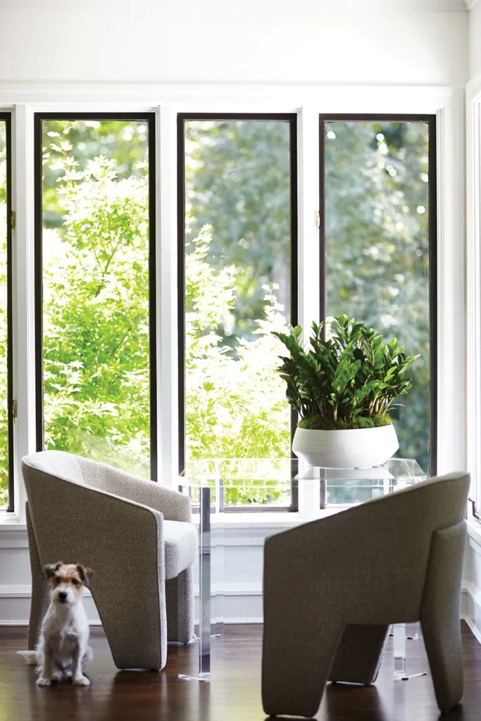 Den with Jack Russell terrier sits beside a Highland House acrylic game table. Home in Carmel Estates neighborhood, designed by Erin Dougherty.