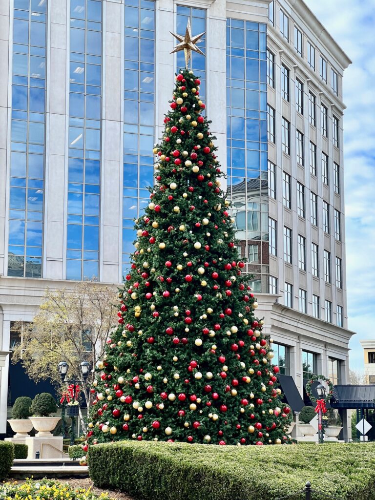 Christmas tree at Piedmont Town Center