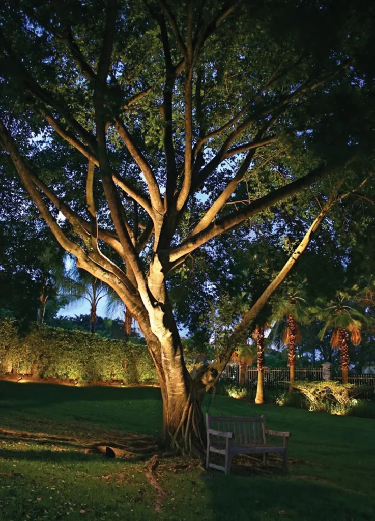 A century oak tree to be preserved in SouthPark in the space honoring St. Lloyd Presbyterian Church
