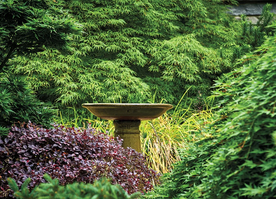 A pedestal fountain in a Myers Park garden.