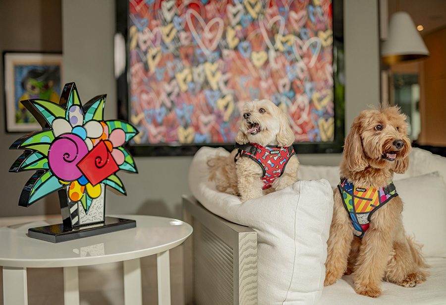 Britto pups