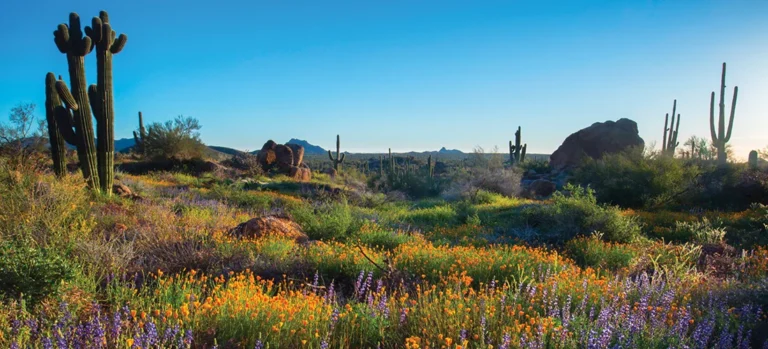 Granite Mountain Loop in Scottsdale, Arizona