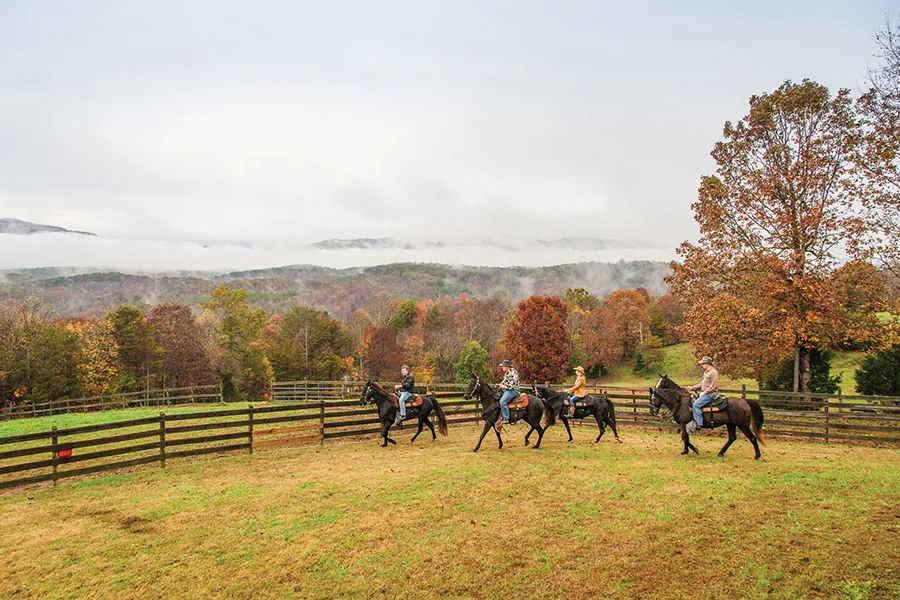 Horseback waterfall tour in Upcountry, SC