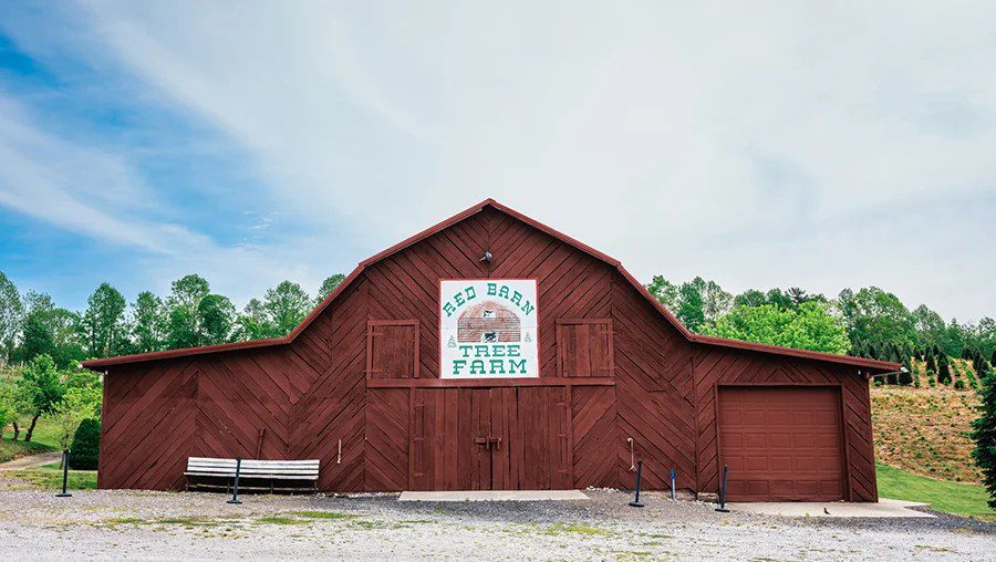Red Barn tree farm at Linville Falls Winery