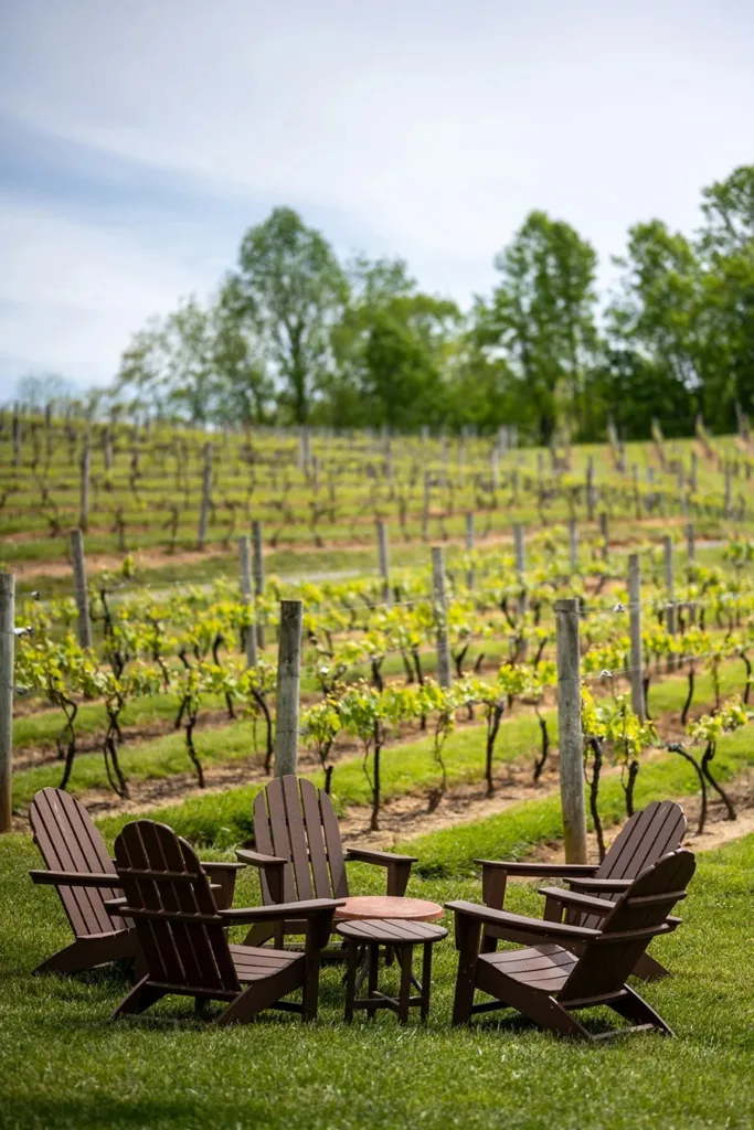 Linville Falls Winery adirondack chairs