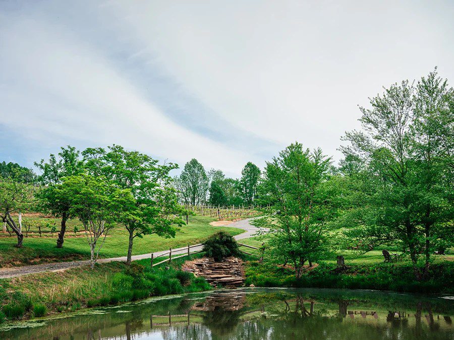 Linville Falls Winery pond
