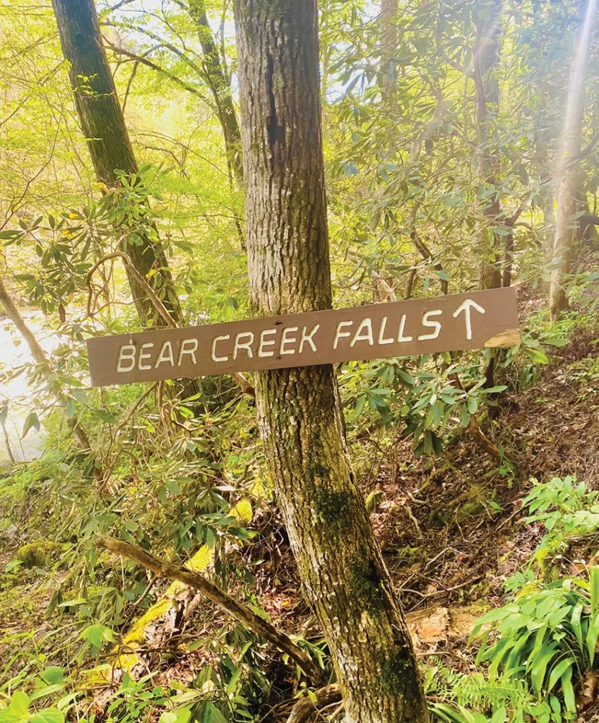 Bear Creek Falls Trail